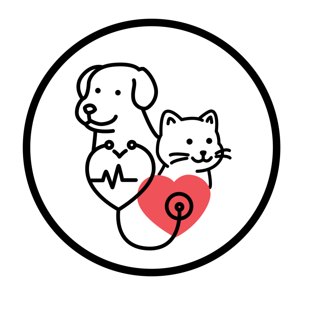 호수동물병원 사진 1