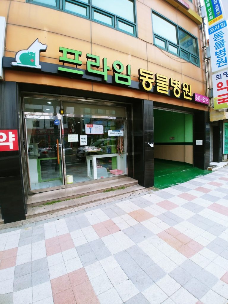 소사프라임동물병원 사진 1