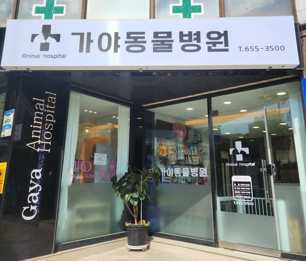 가야동물병원 사진 1