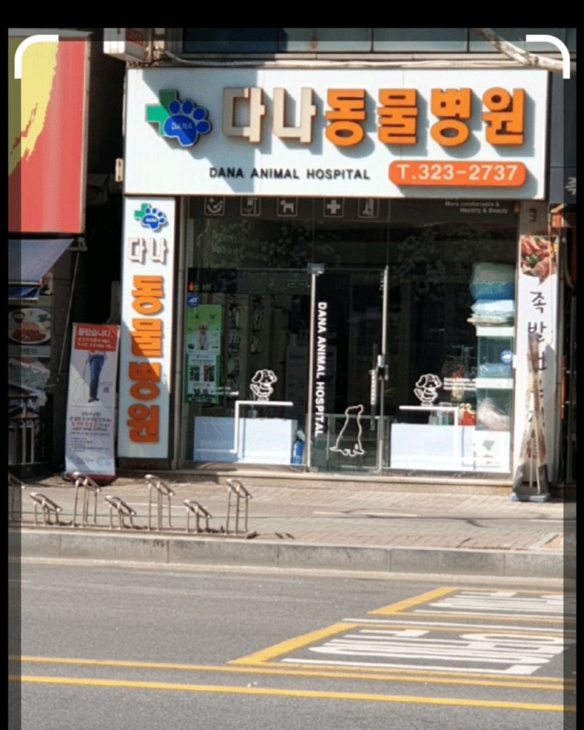 다나동물병원 사진 1