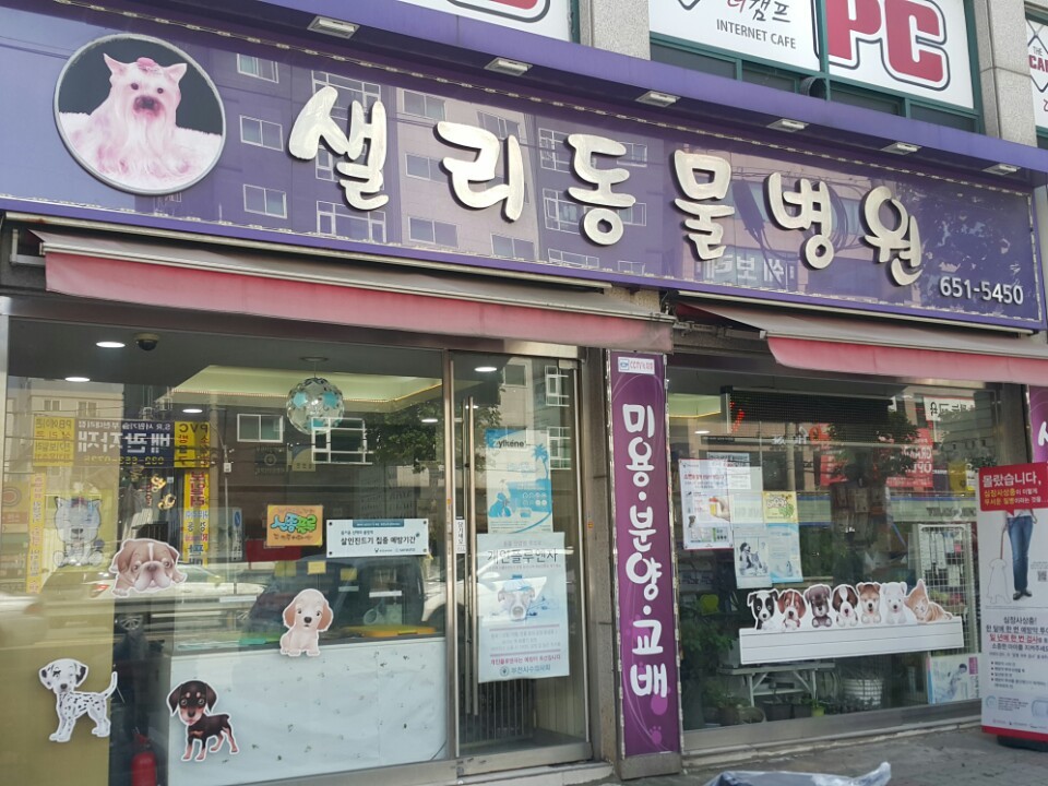 샐리동물병원 사진 1