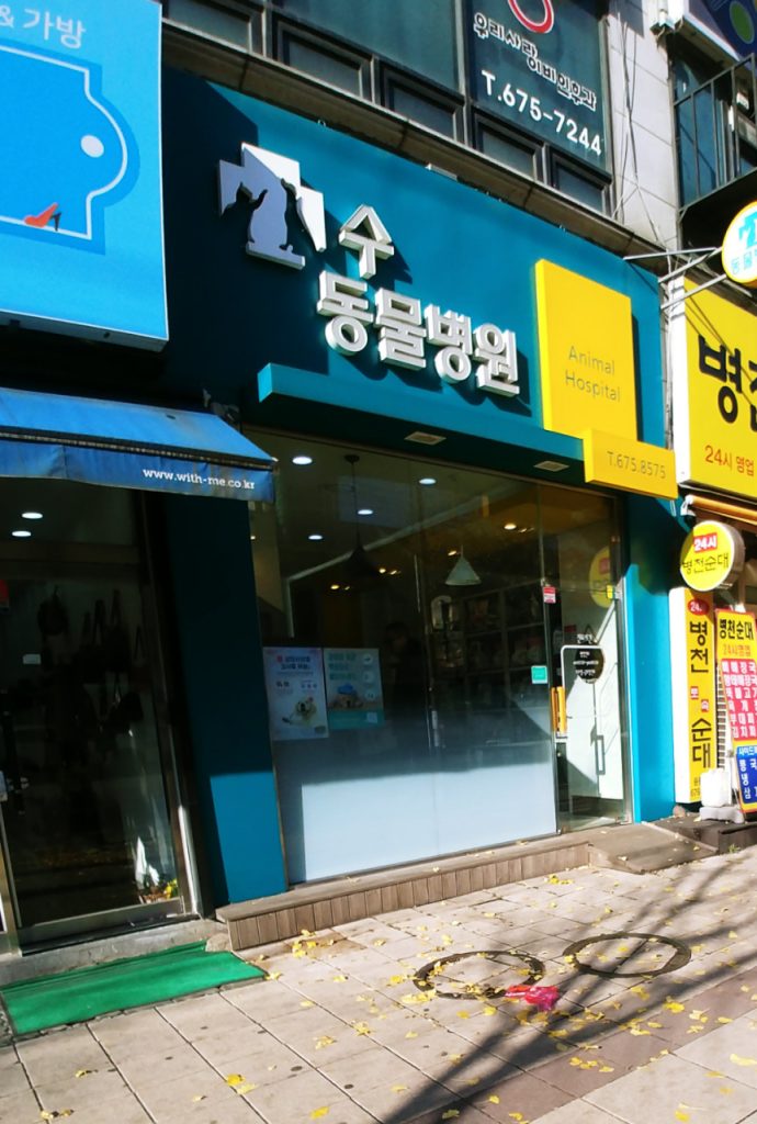 수동물병원 사진 1