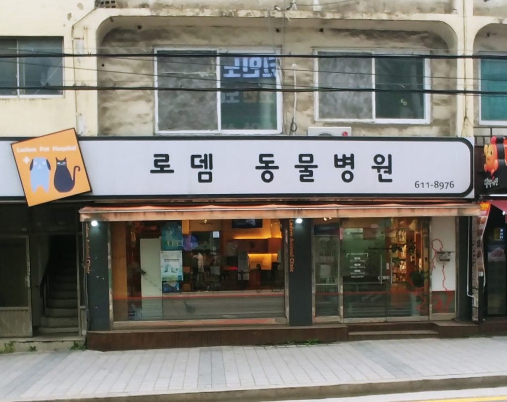 로뎀동물병원 사진 1