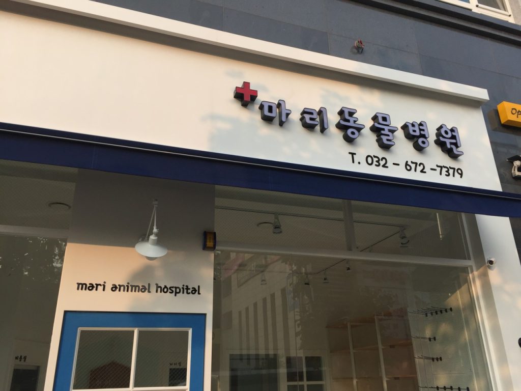 마리동물병원 사진 1