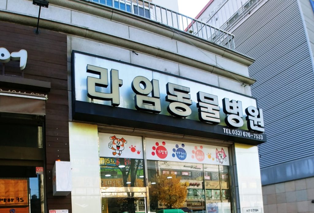 라임 동물병원 사진 1