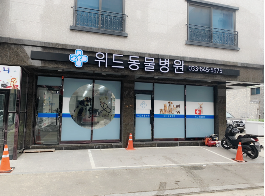 위드동물병원 사진 1