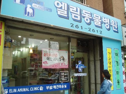 엘림동물병원 사진 1