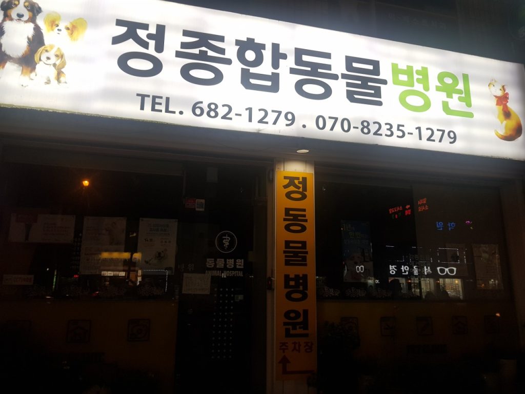 정종합동물병원 사진 1