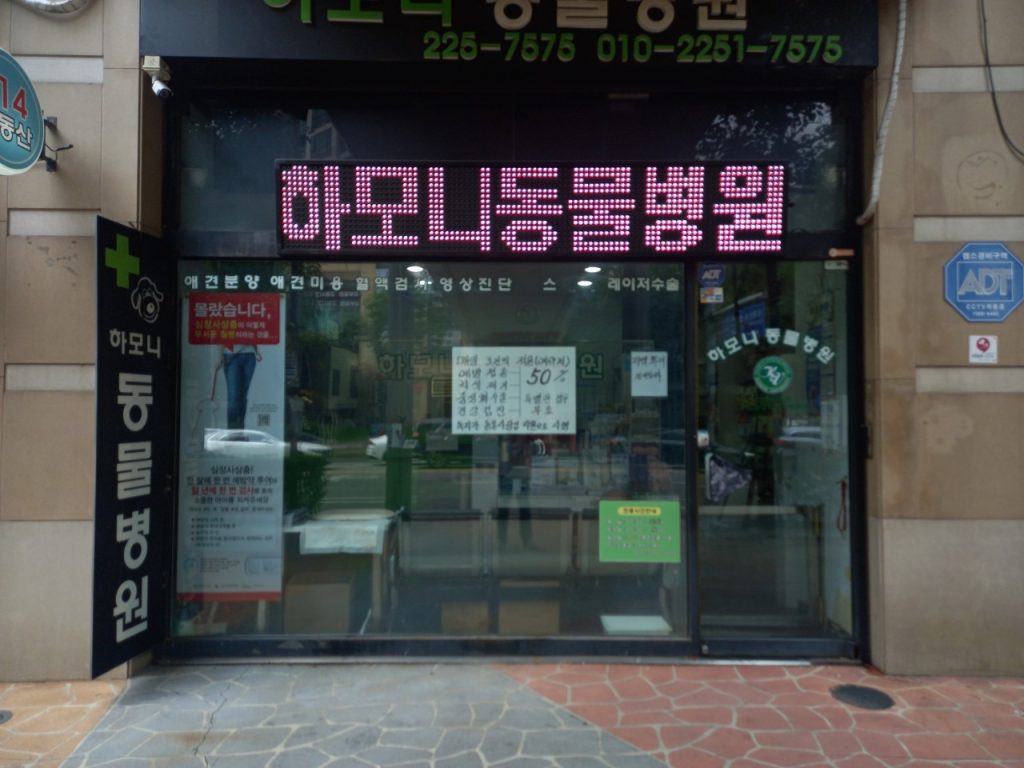 하모니동물병원 사진 1