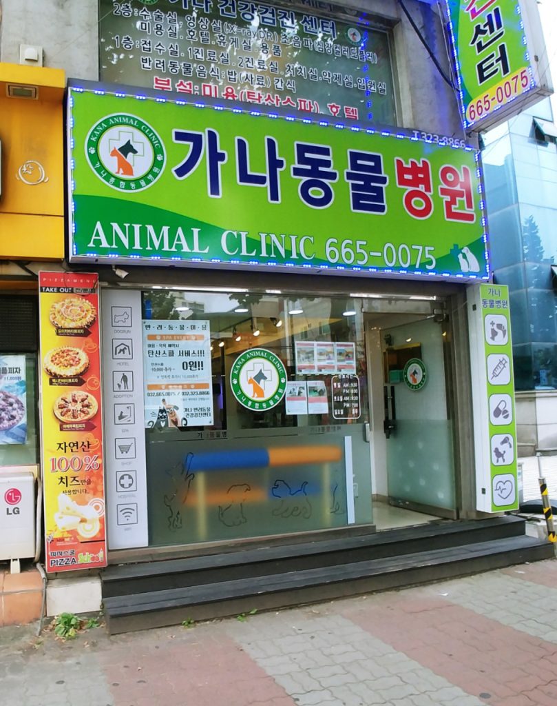 가나반려동물검진센터 사진 1