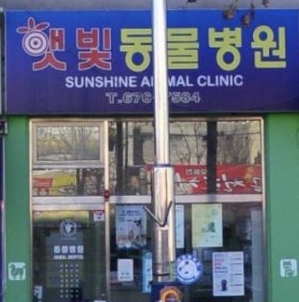 햇빛 동물병원 사진 1