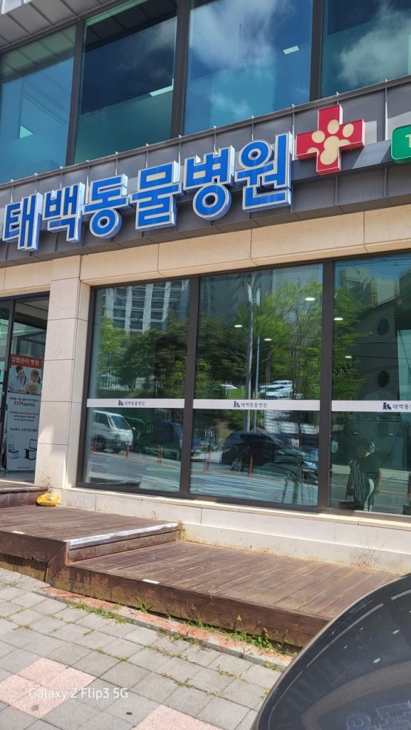 태백동물병원 사진 1