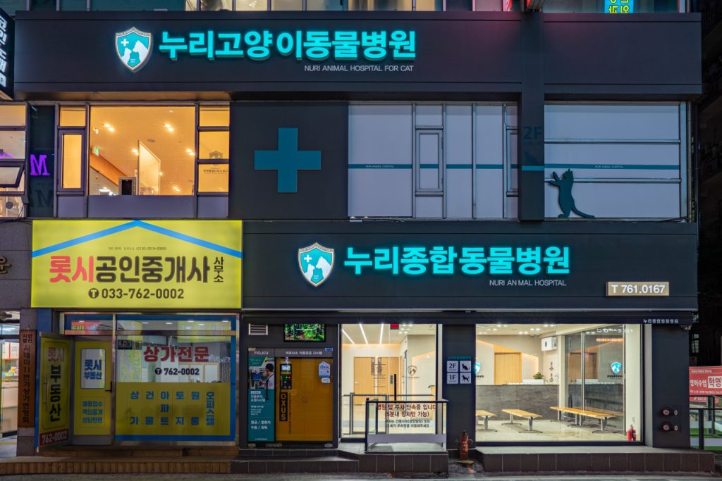 누리종합동물병원 원주 본점 사진 1