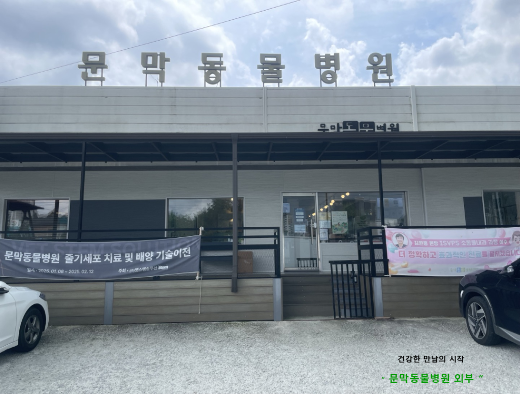 원주 문막동물병원 사진 1