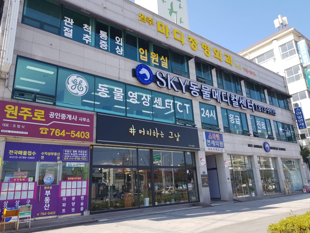 원주24시스카이동물메디컬센터 사진 1