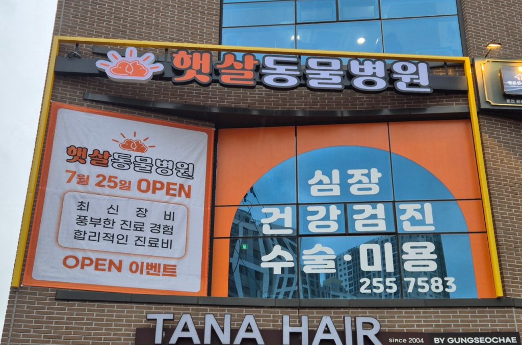 햇살동물병원 사진 1