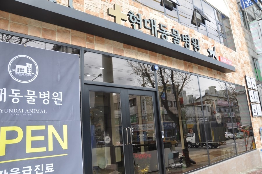 현대동물병원 사진 1