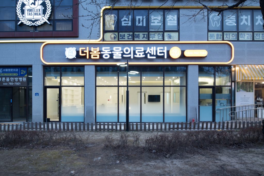 원주더봄동물의료센터 사진 1