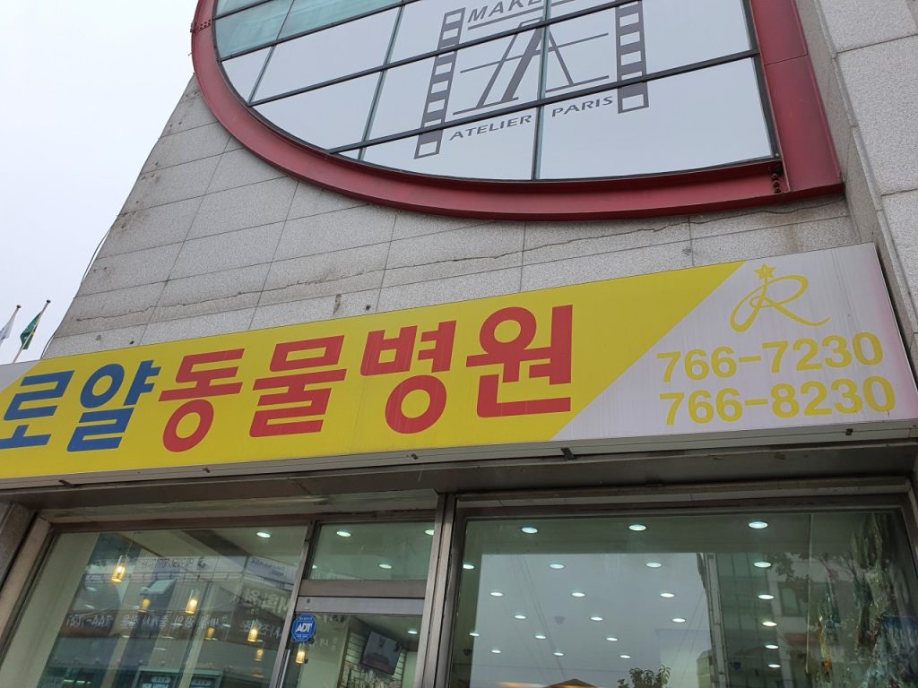로얄종합동물병원 사진 1