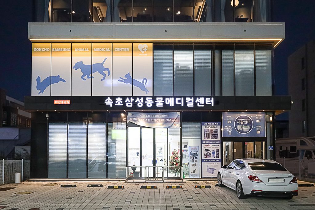 속초삼성동물메디컬센터 사진 1