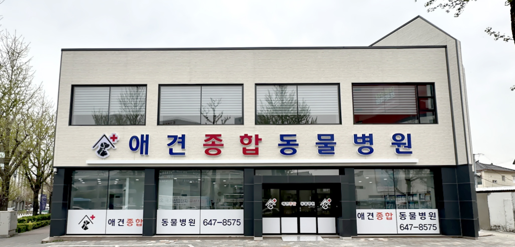 애견종합동물병원 사진 1