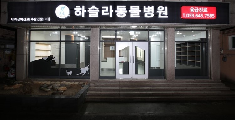 하슬라동물병원 사진 1