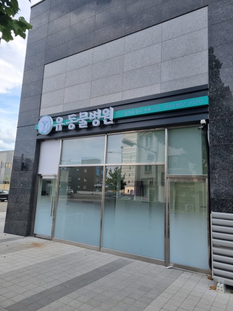유동물병원 사진 1