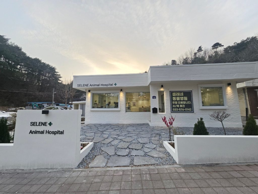 셀레네동물병원 사진 1