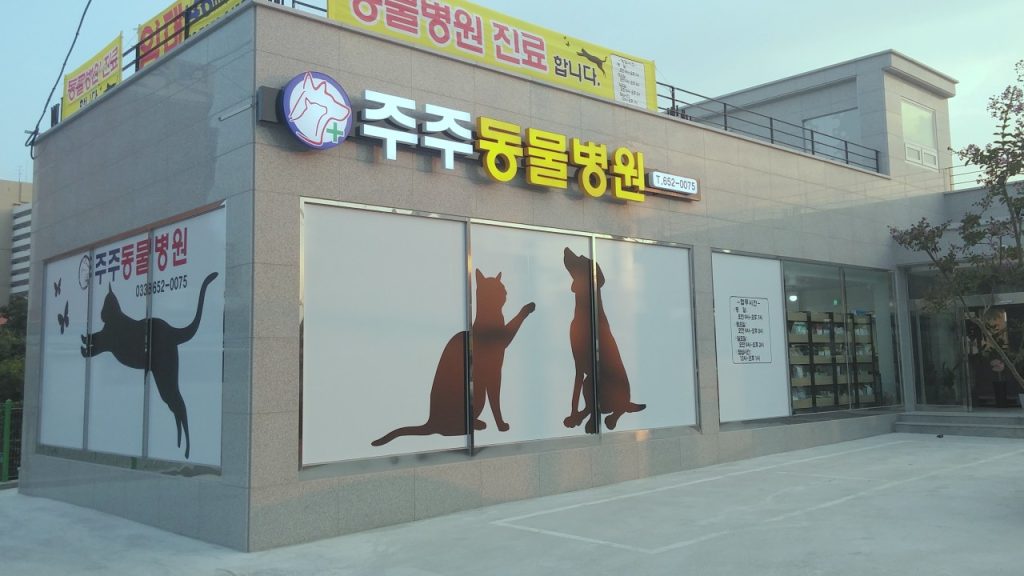 주주동물병원 사진 1