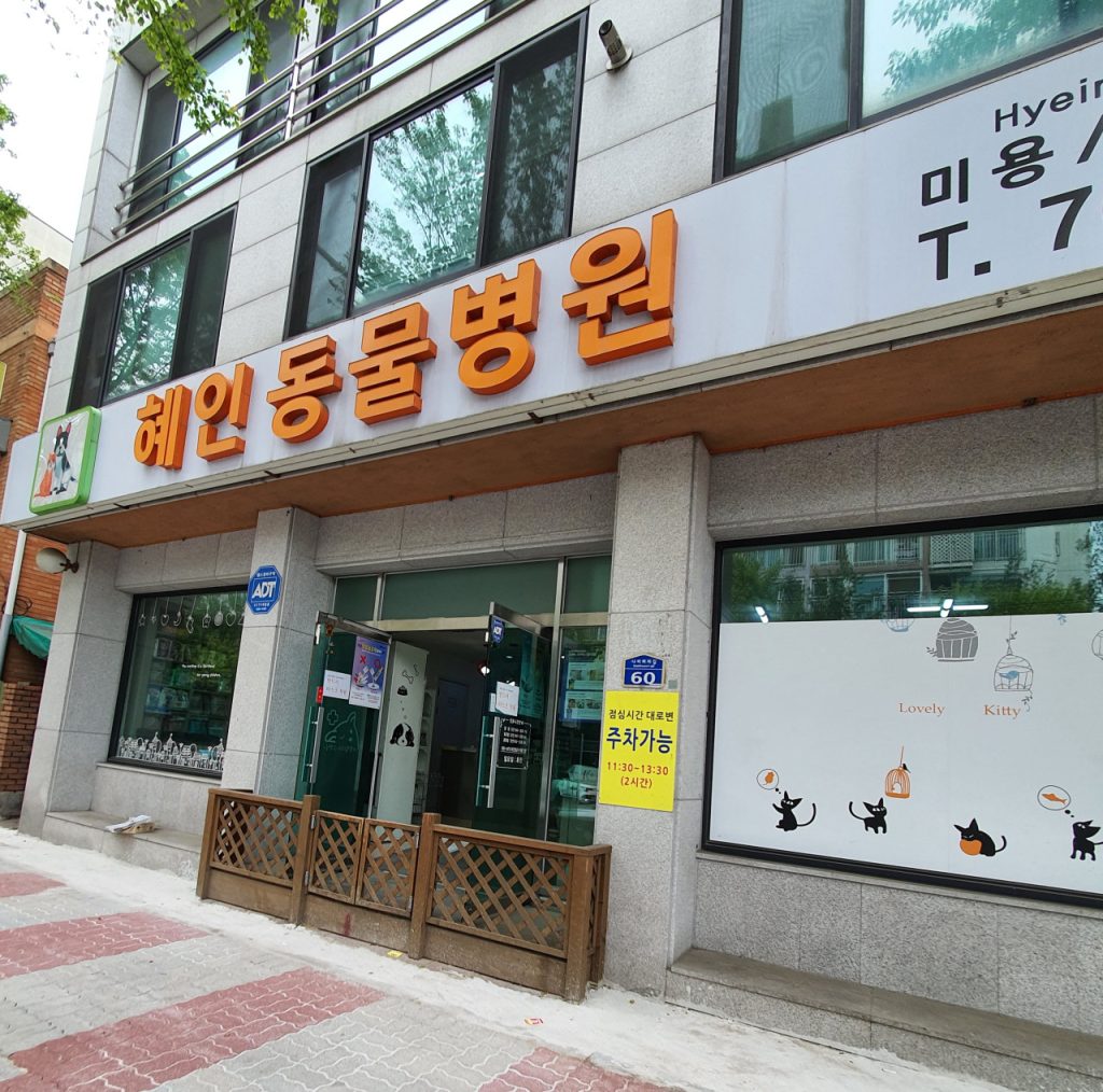혜인종합동물병원 사진 1
