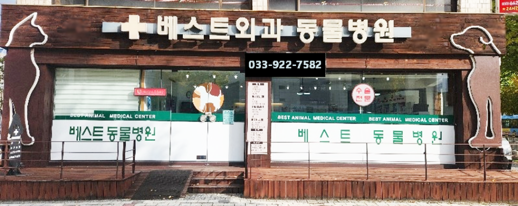 베스트동물병원 사진 1