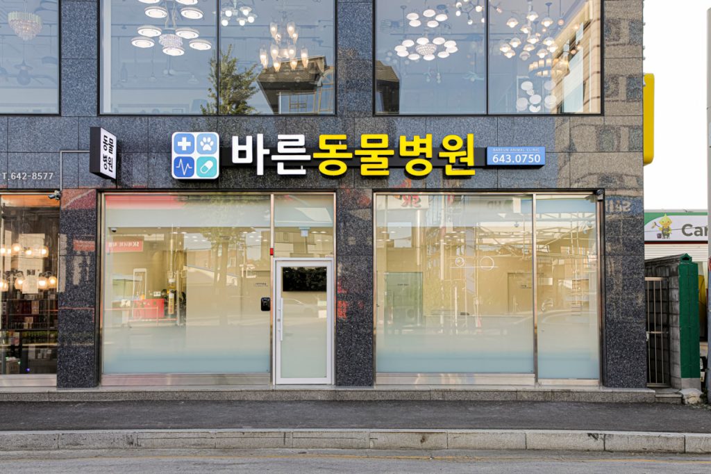 바른동물병원 사진 1