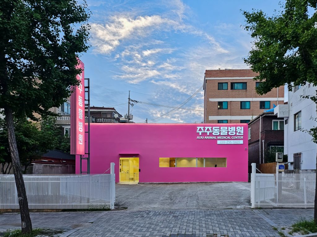 주주동물병원 사진 1