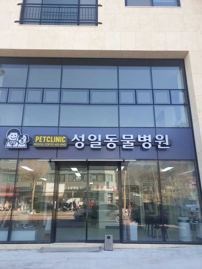성일동물병원 사진 1