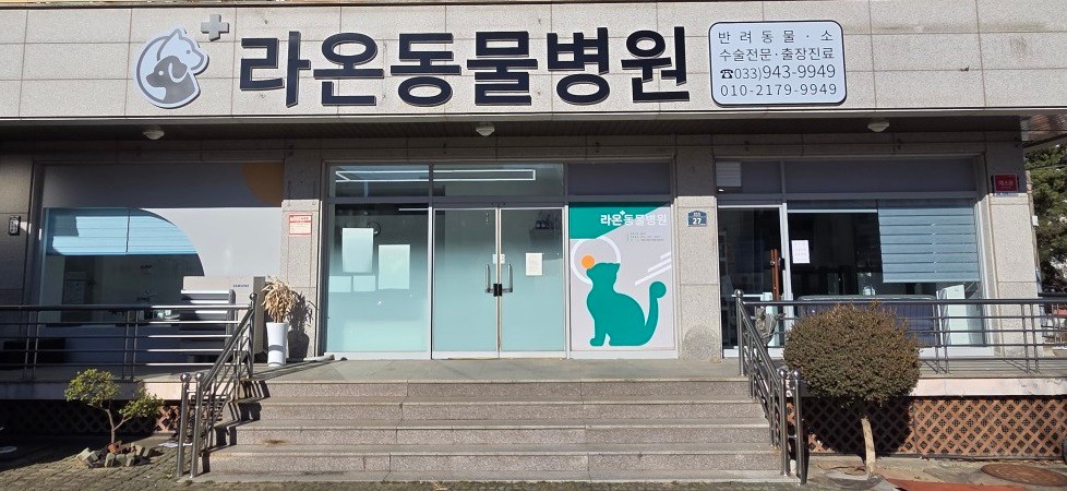라온동물병원 사진 1