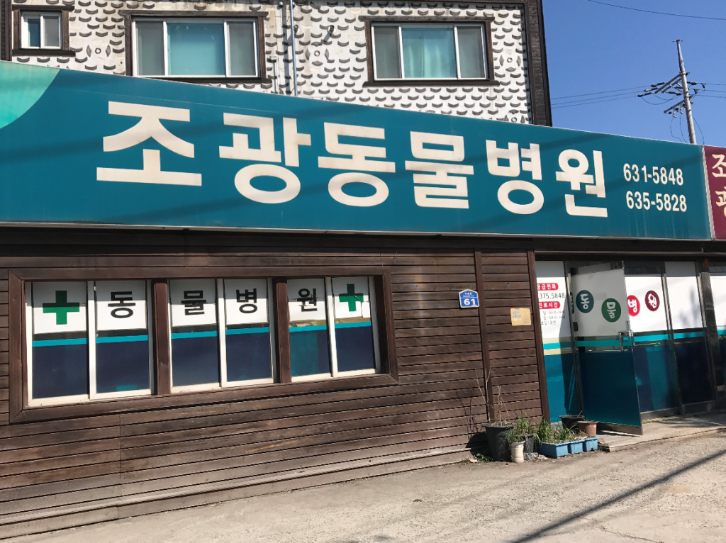 조광동물병원 사진 1