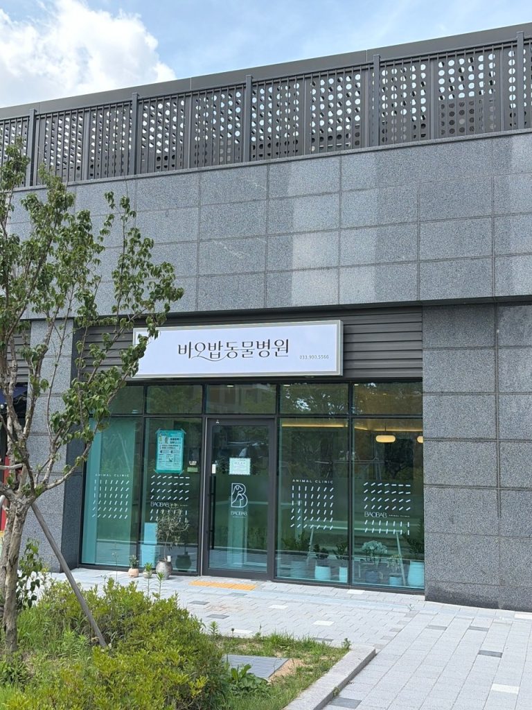 바오밥동물병원 사진 1