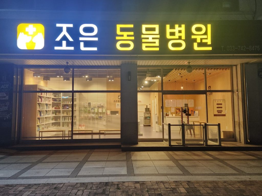 조은동물병원 사진 1