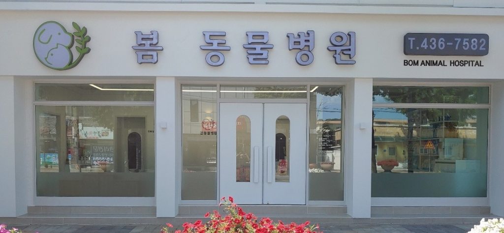 봄동물병원 사진 1