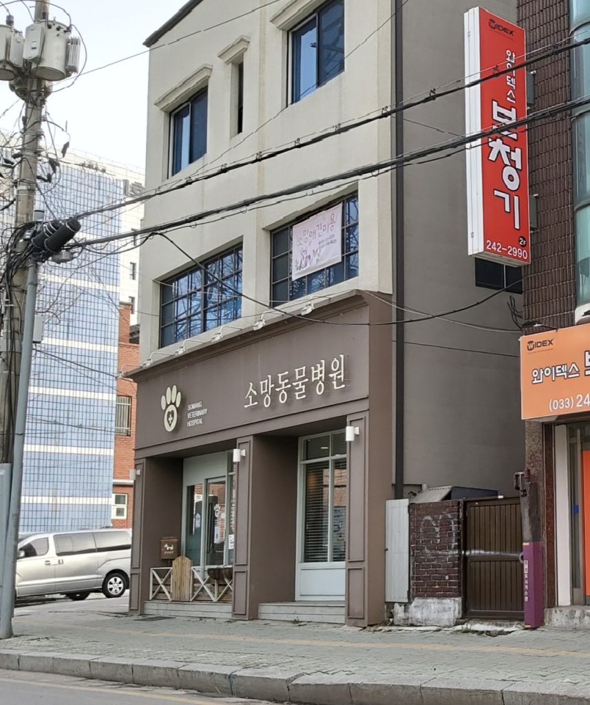 소망동물병원 사진 1
