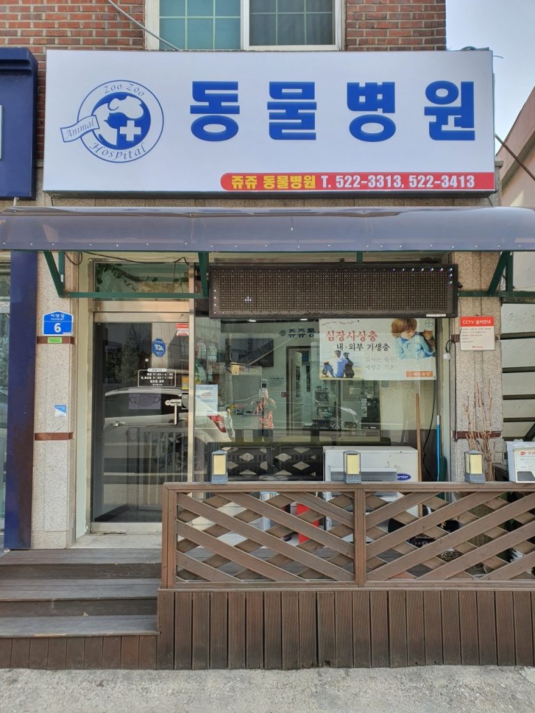 쥬쥬동물병원 사진 1