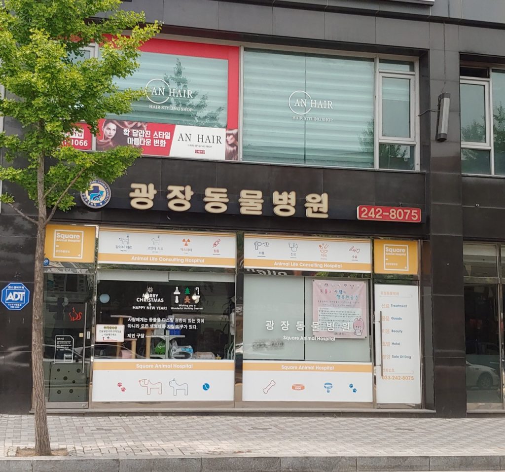 광장동물병원 사진 1