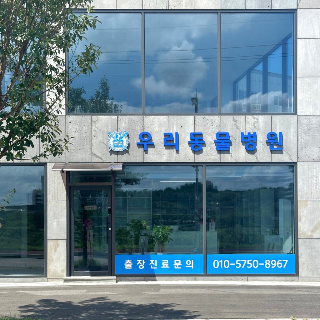 우리동물병원 사진 1