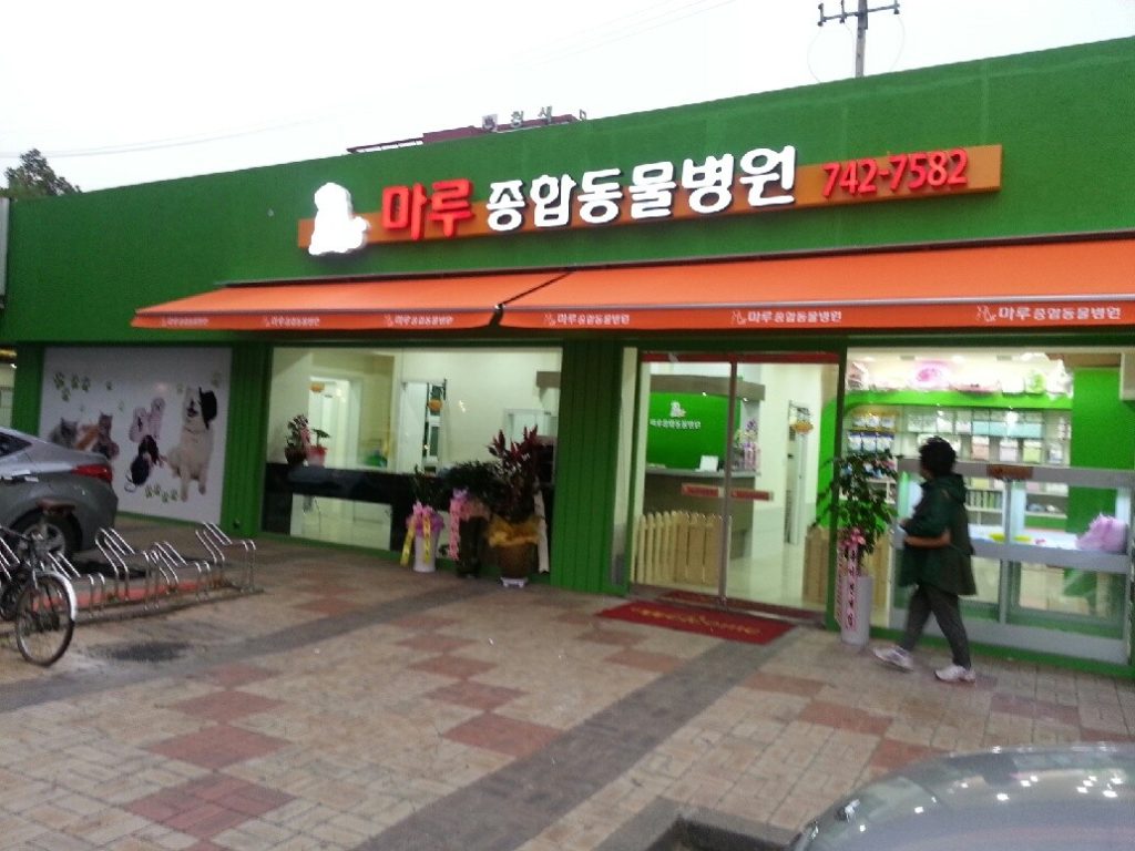마루종합동물병원 사진 1