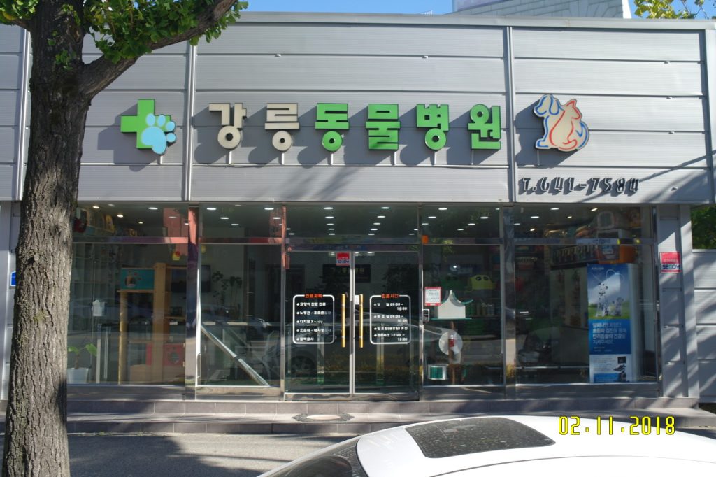 강릉동물병원 사진 1
