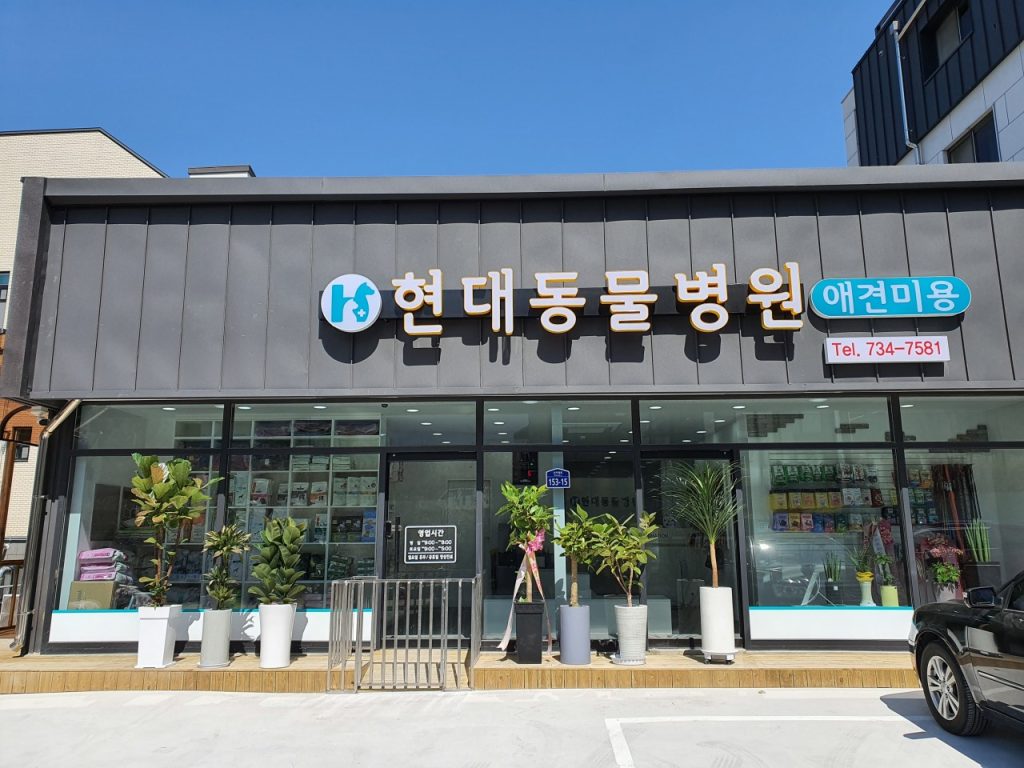 현대동물병원 사진 1