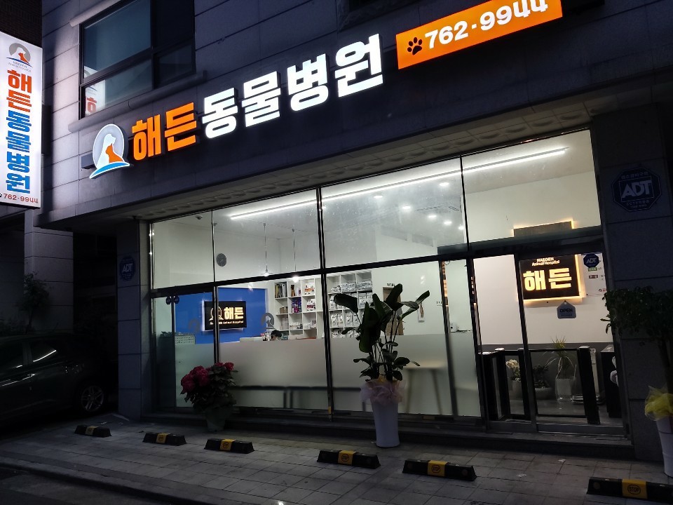 해든동물병원 사진 1