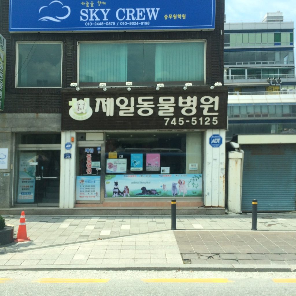 제일동물병원 사진 1
