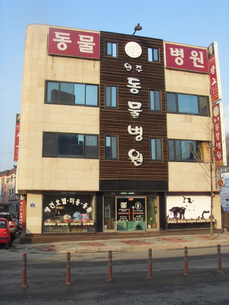 원주동물병원 사진 1