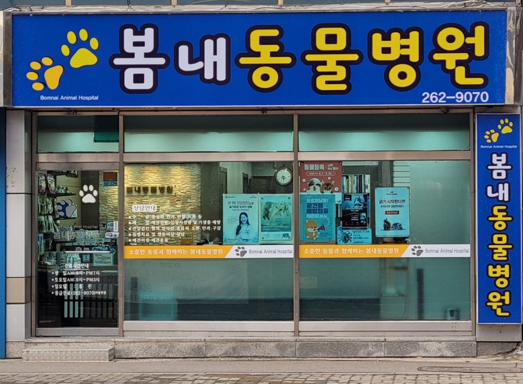 봄내동물병원 사진 1